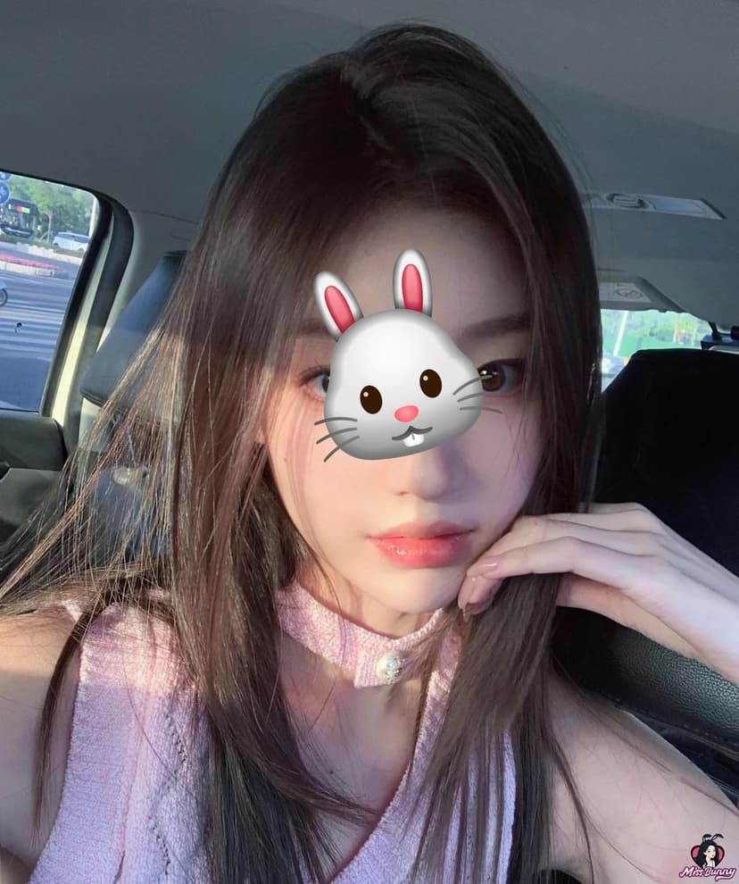 猫本小美