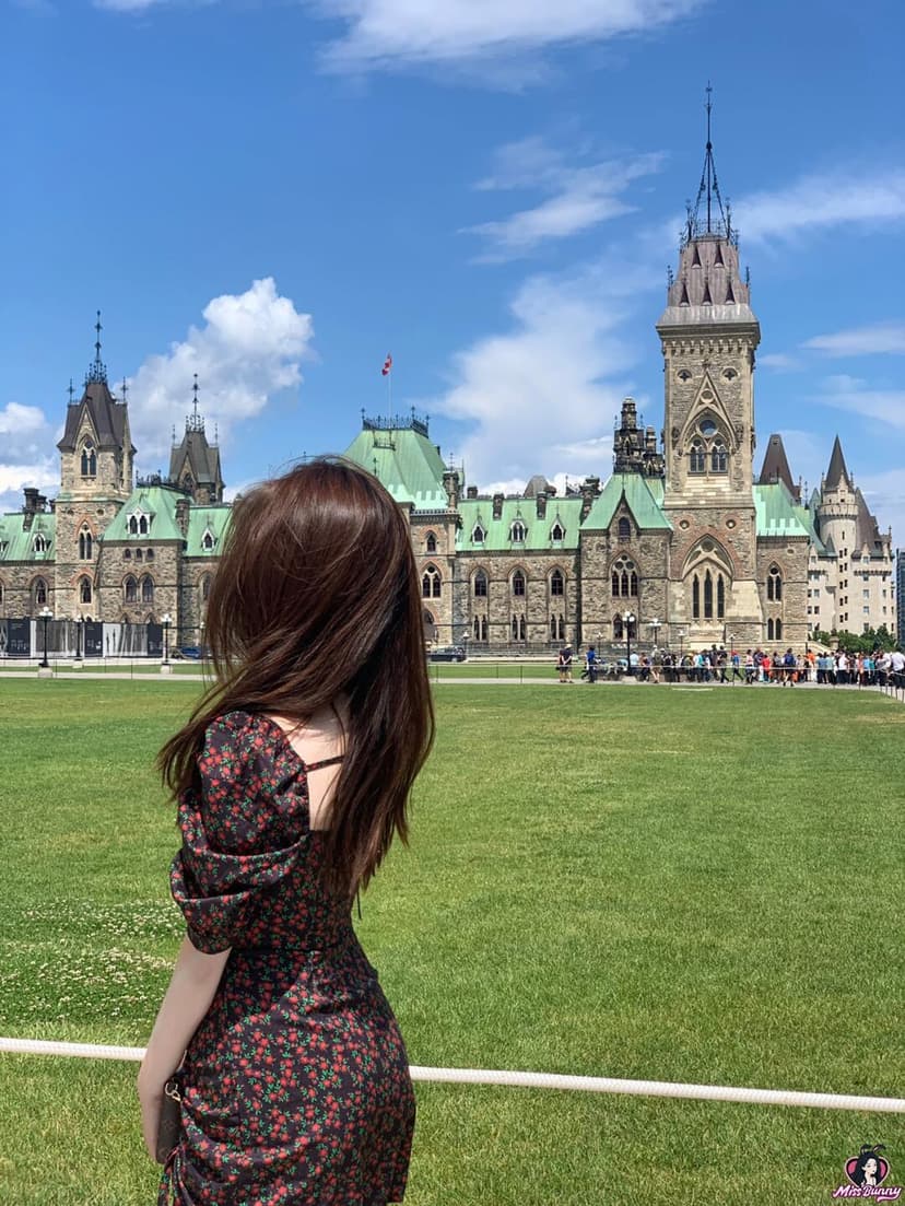 Miss小花
