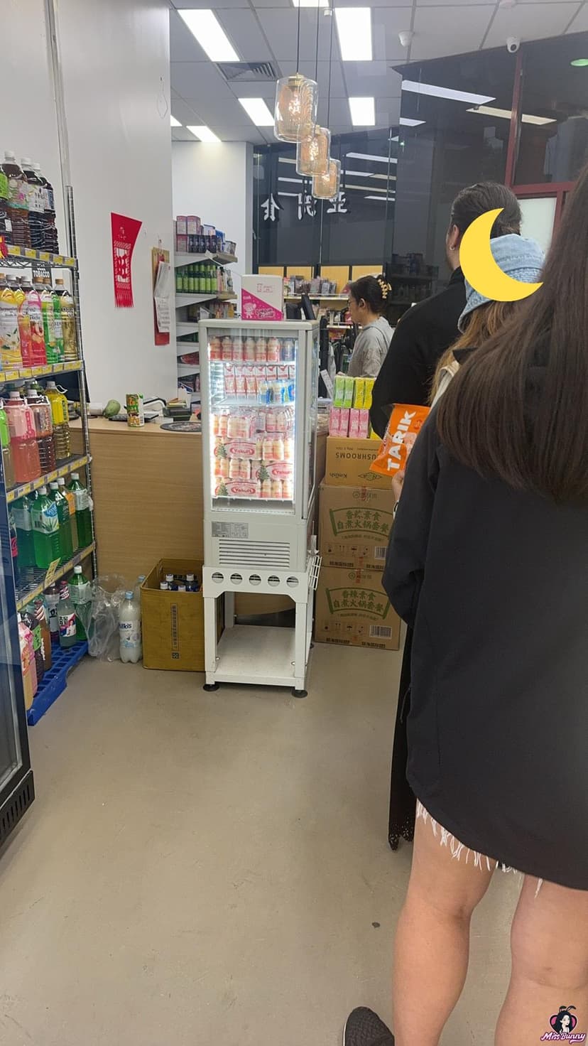 猫本002