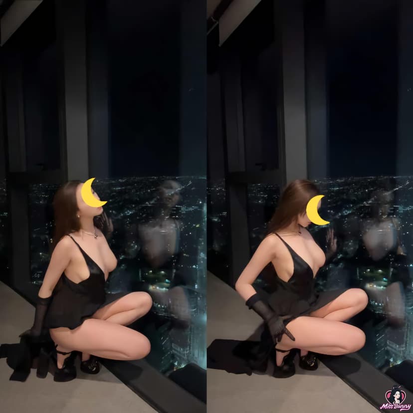 猫本005