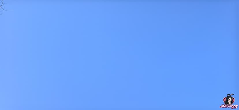 随意