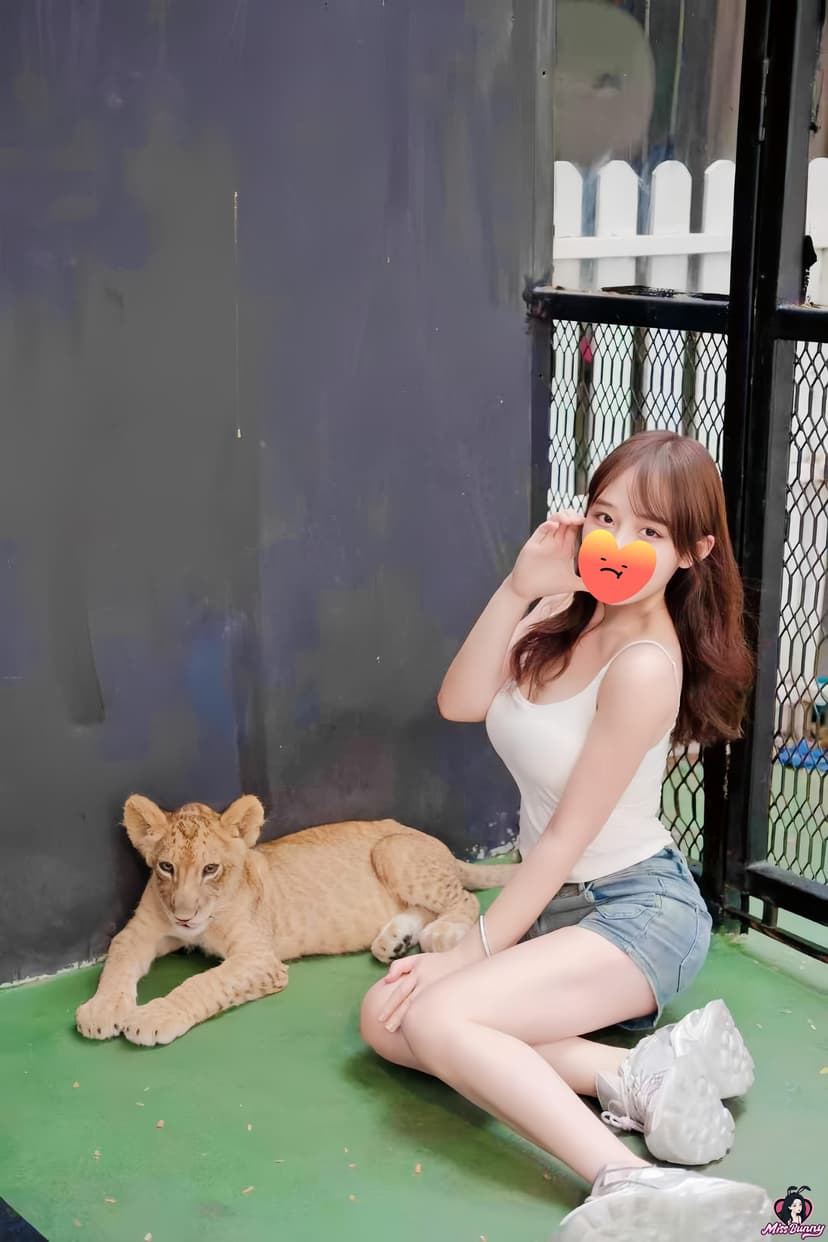 小企鹅