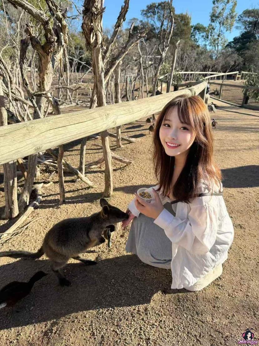小鱿鱼