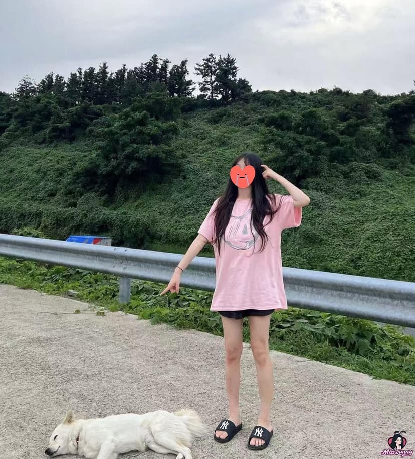 猫本小美