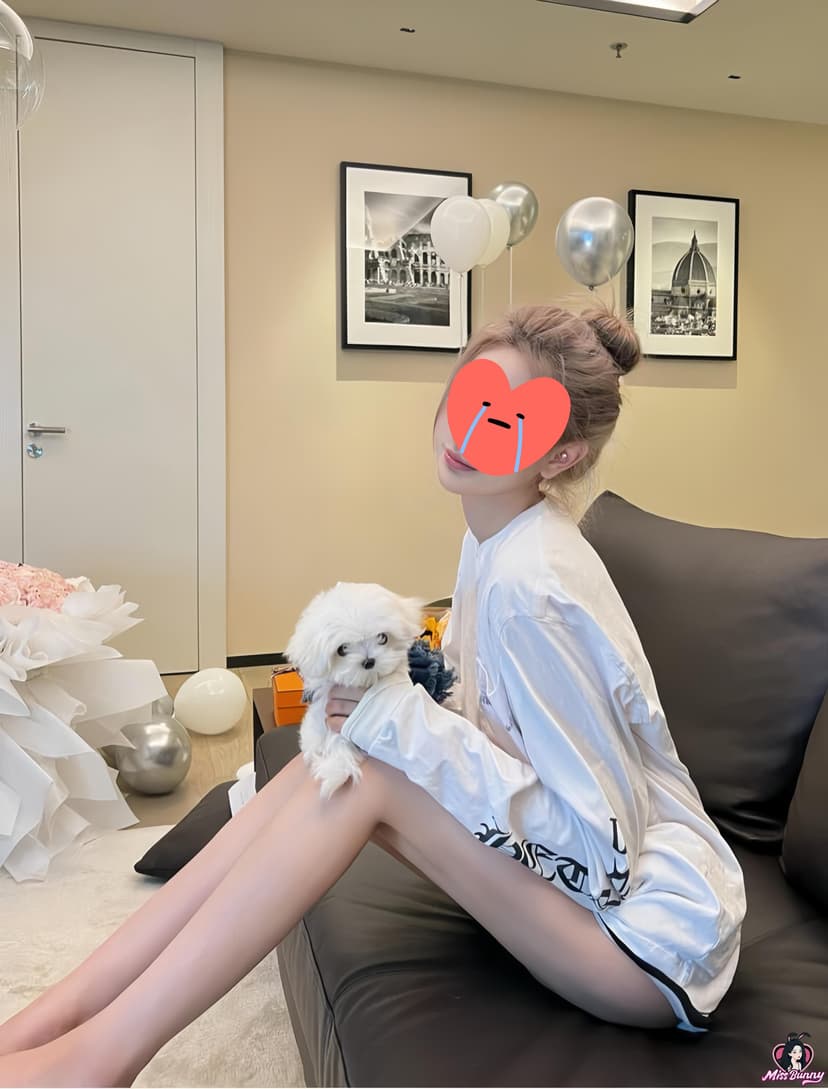 猫本小昆凌
