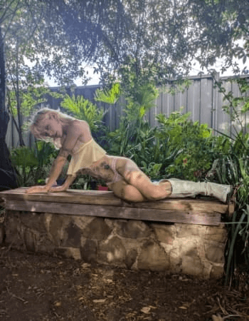 THE PIXIE PACKAGE